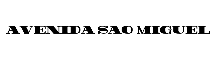 Rider Condensed ExtraBlack  Free Fonts Download