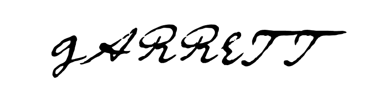 DieselRudolf-reduced  Free Fonts Download