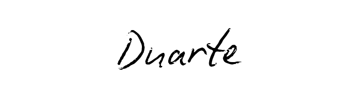 BiroScriptreduced  Free Fonts Download