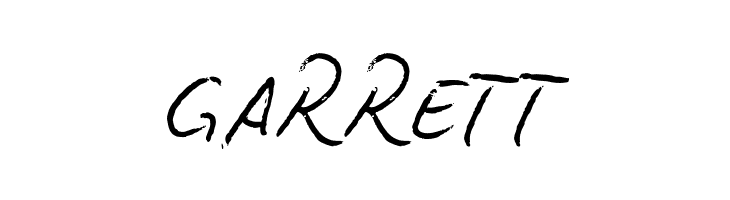 BiroScriptreduced  Free Fonts Download