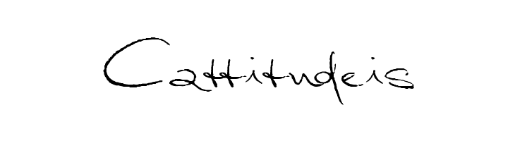 MarleenScriptreduced  Free Fonts Download