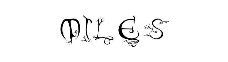 Evernight  Free Fonts Download