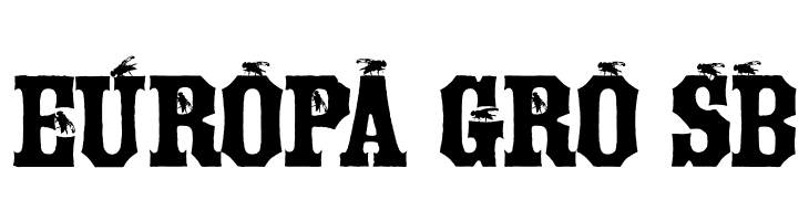 Tuscan Flies  Free Fonts Download