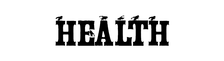 Tuscan Flies  Free Fonts Download