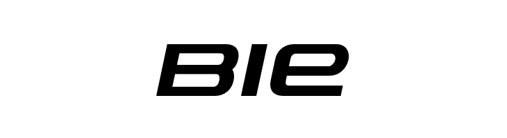 PhatBoySlim-BoldItalic  Free Fonts Download