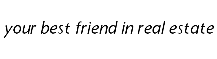 StoneSans Italic  Free Fonts Download