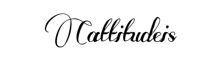 Some Weatz Swashes  Free Fonts Download