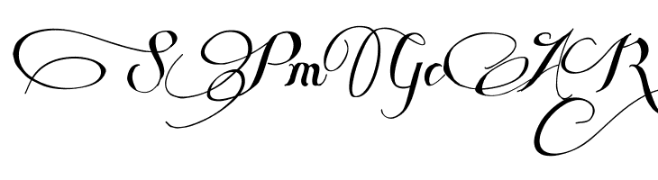 Some Weatz Swashes  Free Fonts Download