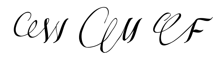 Some Weatz Swashes  Free Fonts Download