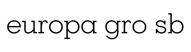 Geometric Slabserif 703 Light BT  Free Fonts Download