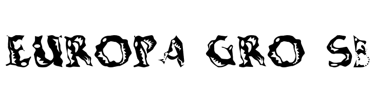 Shaking Salsa  Free Fonts Download