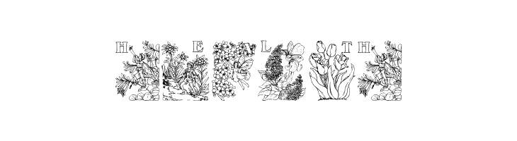 Flower and Fairy Alphabet  Free Fonts Download