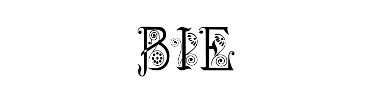 Spring  Free Fonts Download