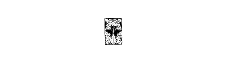 OldFloralIllustration  Free Fonts Download