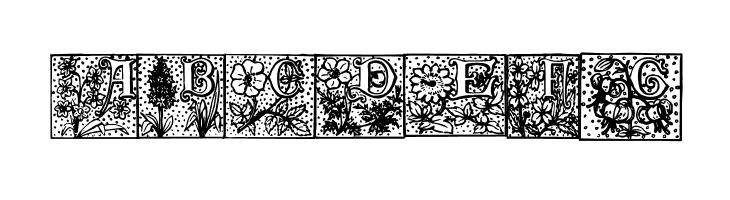 Durbin Initials  Free Fonts Download