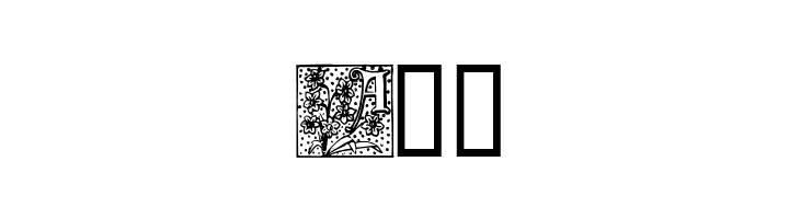 Durbin Initials  Free Fonts Download