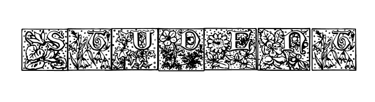 Durbin Initials  Free Fonts Download