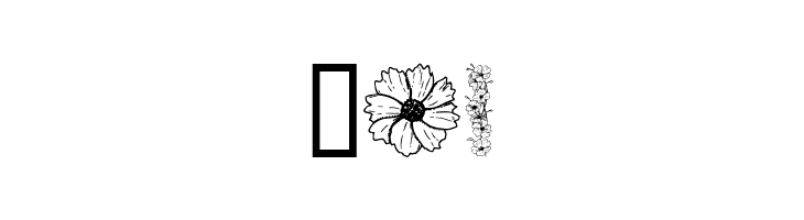 Dover Floral and Design II  Free Fonts Download