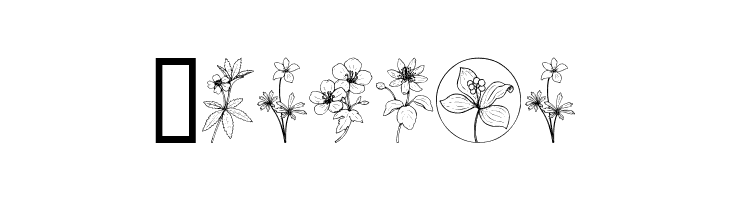 Wildflower III  Free Fonts Download