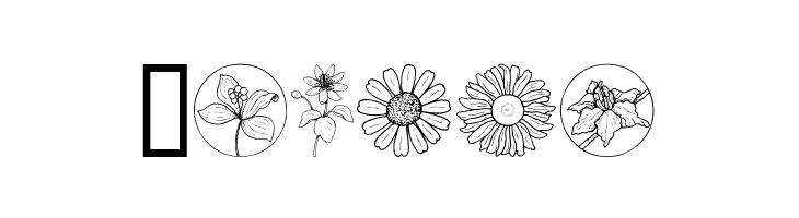 Wildflower III  Free Fonts Download