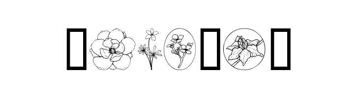 Wildflower III  Free Fonts Download