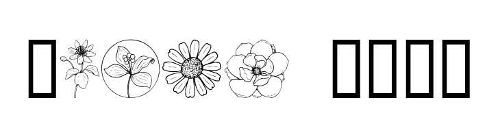 Wildflower III  Free Fonts Download