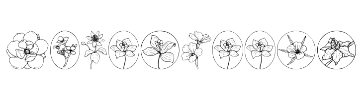 Wildflower III  Free Fonts Download