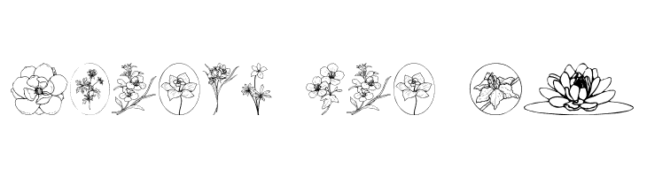 Wildflower III  Free Fonts Download