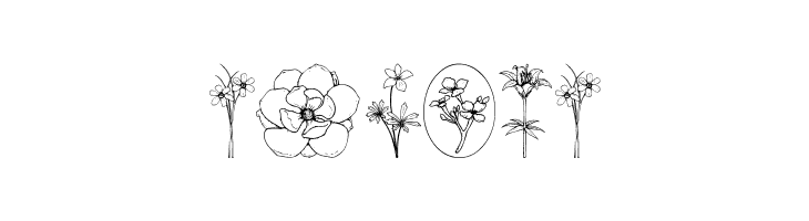 Wildflower III  Free Fonts Download