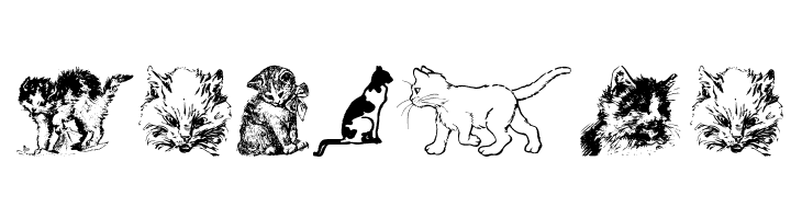 Kitty the Cat  Free Fonts Download