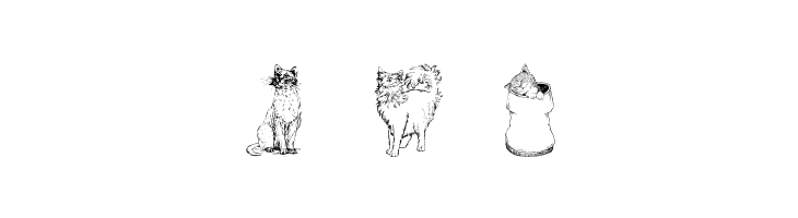 Kitty the Cat  Free Fonts Download