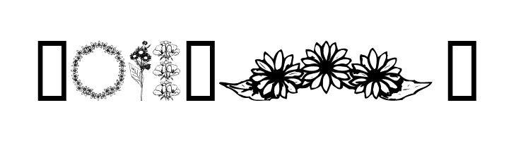 Wildflower IV  Free Fonts Download