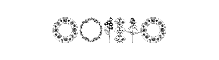 Wildflower IV  Free Fonts Download