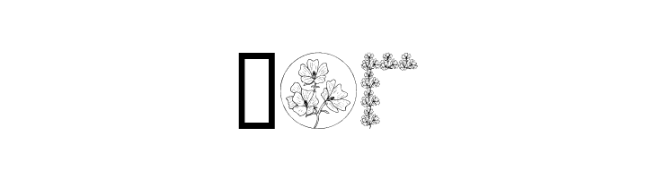 Wildflower  Free Fonts Download