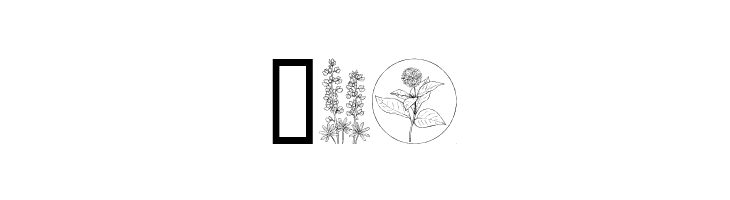 Wildflower  Free Fonts Download