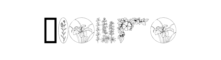 Wildflower  Free Fonts Download