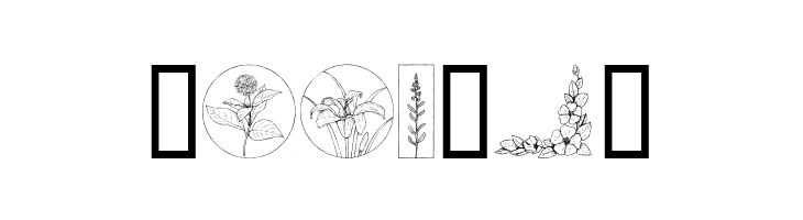 Wildflower  Free Fonts Download