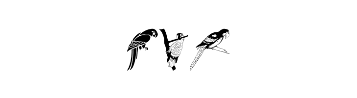 Moyra's Parrots  Free Fonts Download