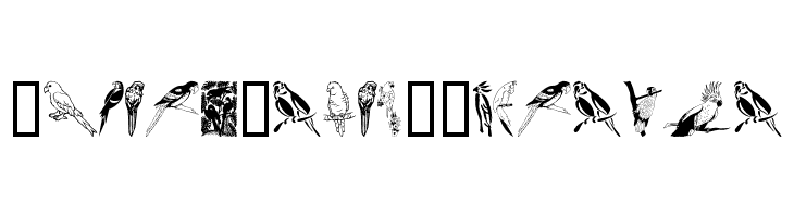 Moyra's Parrots  Free Fonts Download