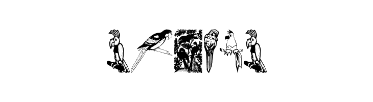 Moyra's Parrots  Free Fonts Download