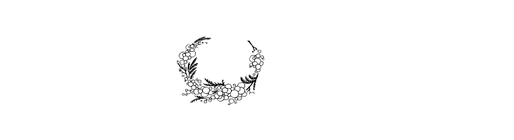 DBL Flower Delight  Free Fonts Download
