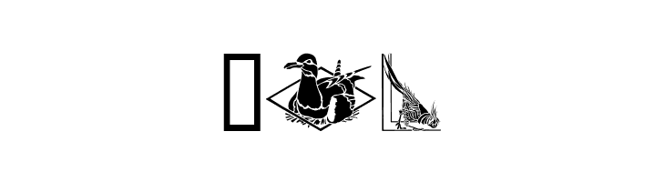 Bird Stencil Design II  Free Fonts Download