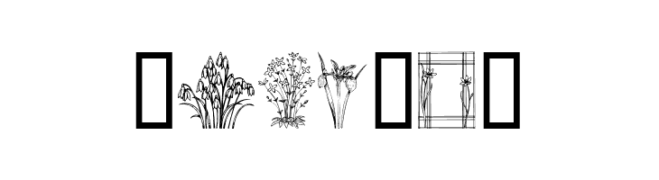 Wildflower II  Free Fonts Download