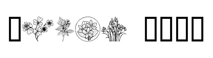 Wildflower II  Free Fonts Download