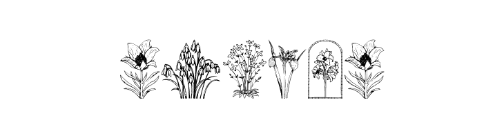 Wildflower II  Free Fonts Download