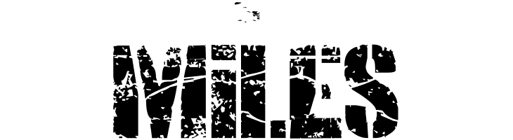 SMASH PUNKERS  Free Fonts Download