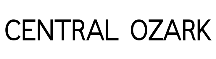 Fudd  Free Fonts Download