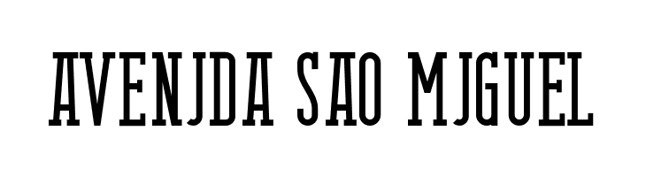 BerlinEmailSerif  Free Fonts Download