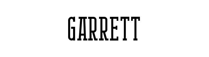 BerlinEmailSerif  Free Fonts Download