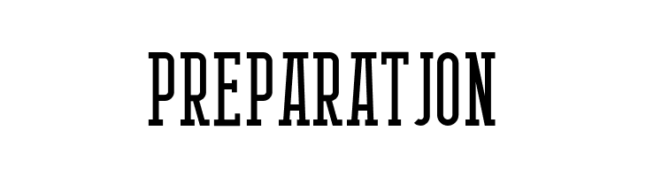 BerlinEmailSerif  Free Fonts Download